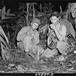 Honoring Navajo Code Talkers Day: Language, Courage, and Teaching the Next Generation